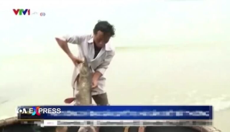 Tuyệt thực yêu cầu Formosa bồi thường cho nạn nhân ở Việt Nam Tuyệt thực yêu cầu Formosa bồi thường cho nạn nhân ở Việt Nam