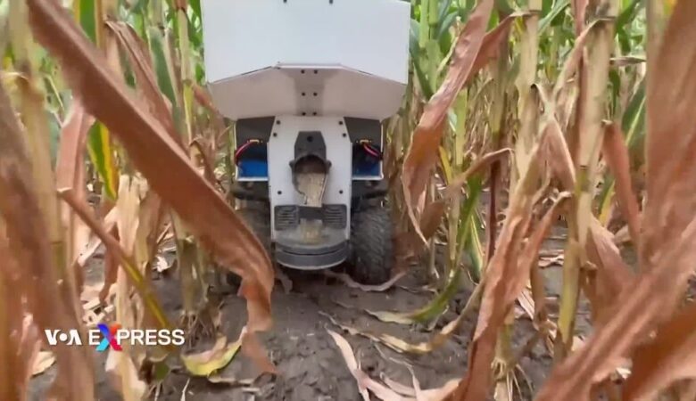 Nông dân Mỹ thận trọng trước các công nghệ tự động hoá canh tác
