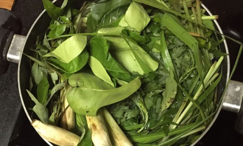 Nhiều nhà trồng chanh, nhưng ít ai biết công dụng của lá chanh Nhiều nhà trồng chanh, nhưng ít ai biết công dụng của lá chanh