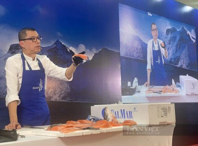 Chỉ chín tháng, người Việt ăn cá hồi, cá tuyết, cua hoàng đế… Na Uy trị giá 2 triệu Chỉ chín tháng, người Việt ăn cá hồi, cá tuyết, cua hoàng đế… Na Uy trị giá 2 triệu
