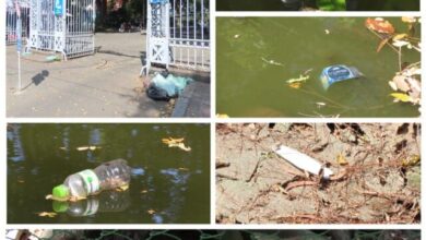 Tây ở Sài Gòn, Noel này đi đâu chơi?