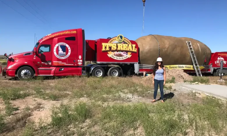 This giant potato is actually a beautiful Airbnb you can stay in This giant potato is actually a beautiful Airbnb you can stay in
