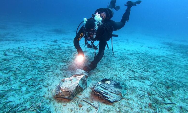 8,000-year-old relic found at bottom of ocean could lead to ‘mind-blowing’ discovery 8,000-year-old relic found at bottom of ocean could lead to ‘mind-blowing’ discovery