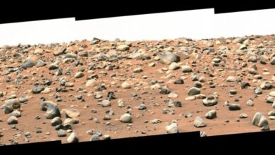 NASA’s car-sized rover makes startling discovery on Mars