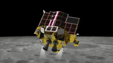 Trailblazing spacecraft reaches moon and sends back images