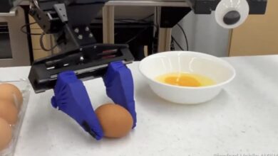 Google introduces ultra high-tech robot that can cook, clean and do drills