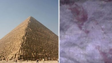 Robot inside the Great Pyramid reveals its secrets with hidden footage