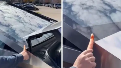 Cybertruck’s ‘carrot test’ goes viral as flaw pointed out