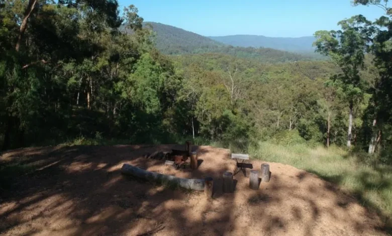 Homeowner discovers gold mine hidden in his backyard Homeowner discovers gold mine hidden in his backyard