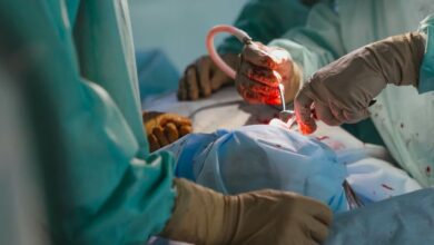 Lần đầu tiên ghép thận heo chỉnh sửa gen cho người, tín hiệu vui!