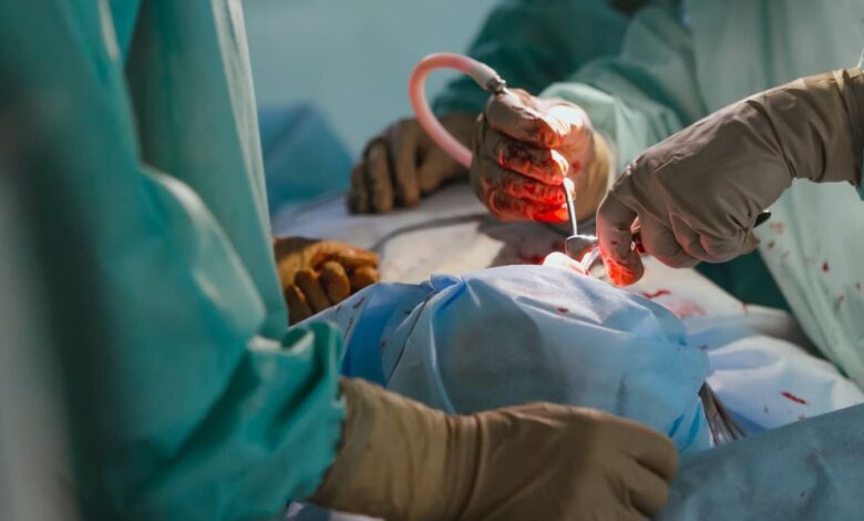 Lần đầu tiên ghép thận heo chỉnh sửa gen cho người, tín hiệu vui! Lần đầu tiên ghép thận heo chỉnh sửa gen cho người, tín hiệu vui!