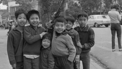 Sọc mực, sọc sò