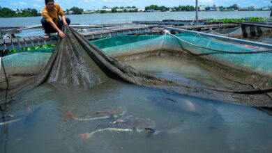Vietnam should ask Cambodia to delay canal project: experts