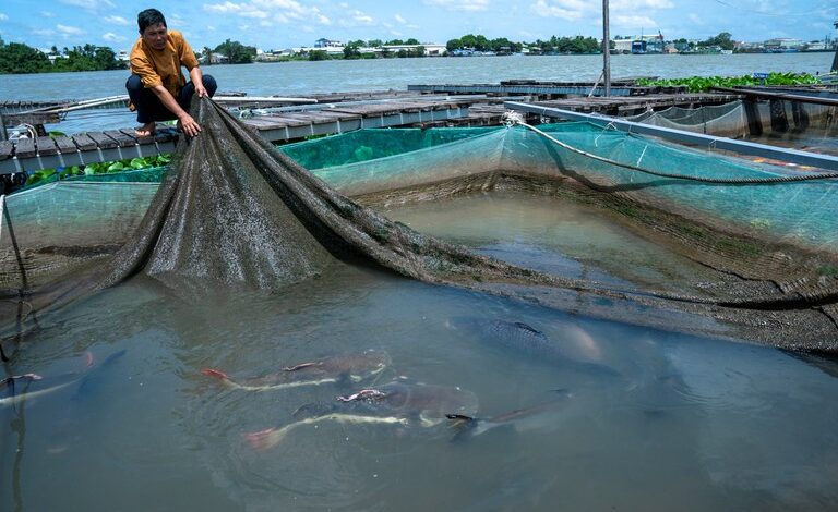 Vietnam should ask Cambodia to delay canal project: experts Vietnam should ask Cambodia to delay canal project: experts