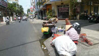 Sài Gòn – Chặt hàng trăm cây làm Metro 2, chặt cứ chặt!