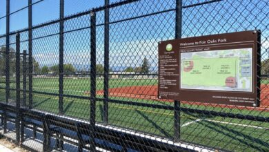 Santa Clara County to study ban on artificial turf