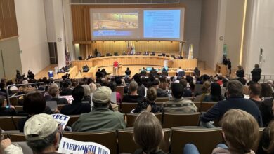 San Jose District 2 candidate bridges labor-business divide