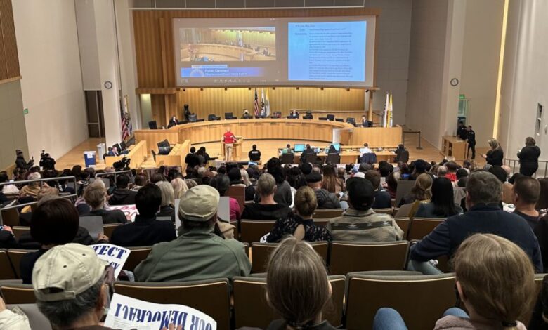 San Jose District 2 candidate bridges labor-business divide San Jose District 2 candidate bridges labor-business divide