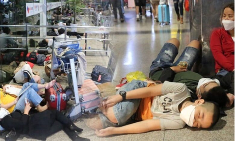 Hàng Không Việt Nam-Vì sao bán vé đắt, phục vụ tệ, vẫn kêu lỗ? Hàng Không Việt Nam-Vì sao bán vé đắt, phục vụ tệ, vẫn kêu lỗ?
