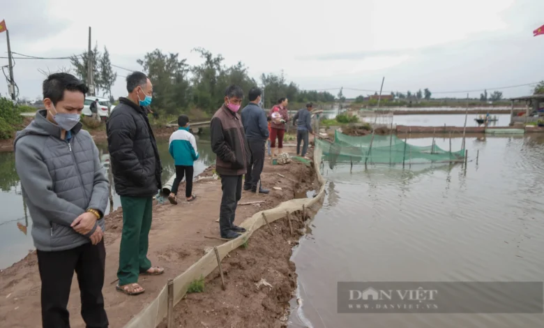 Cuộc đàn áp dân ở Cồn Xanh ở Nam Định: Một Formosa thứ hai Cuộc đàn áp dân ở Cồn Xanh ở Nam Định: Một Formosa thứ hai