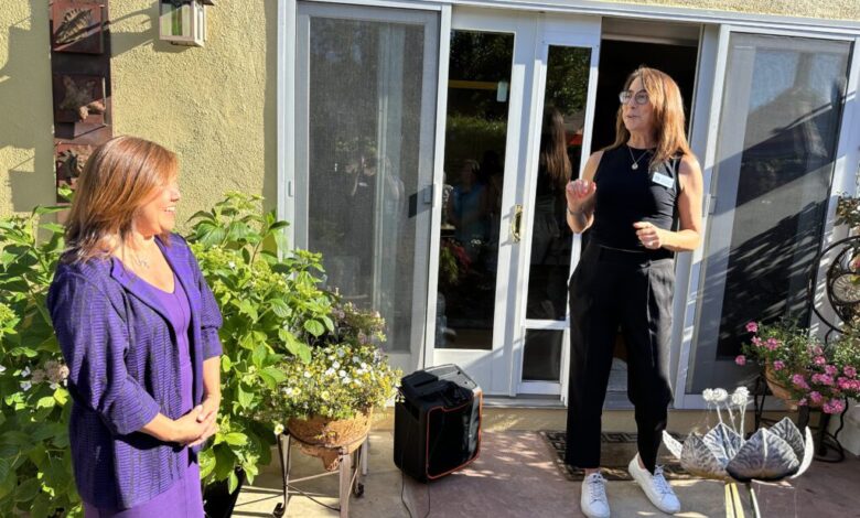 Election 2024: Mountain View official runs for D5 county seat