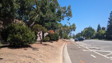 Cupertino politician drops reelection bid