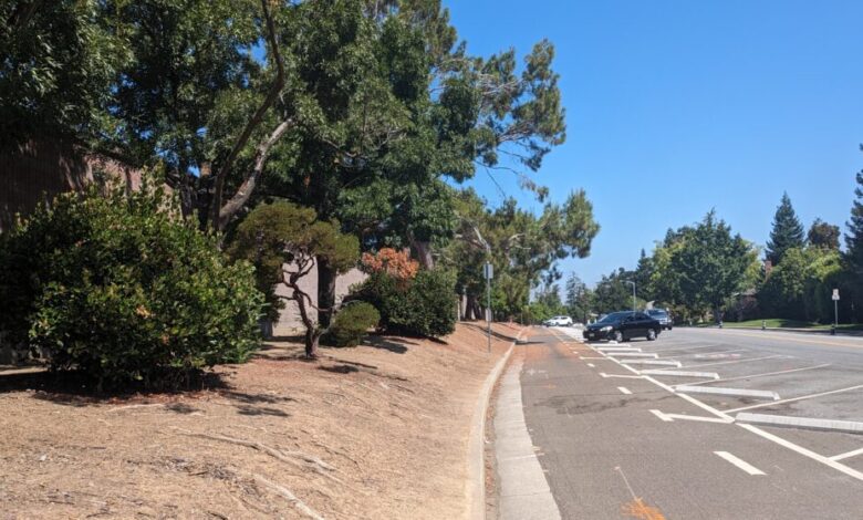 Cupertino politician drops reelection bid Cupertino politician drops reelection bid