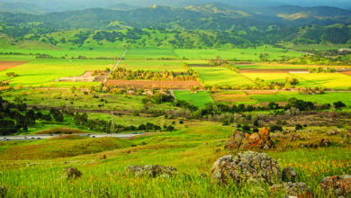 South San Jose utility project could threaten wildlife