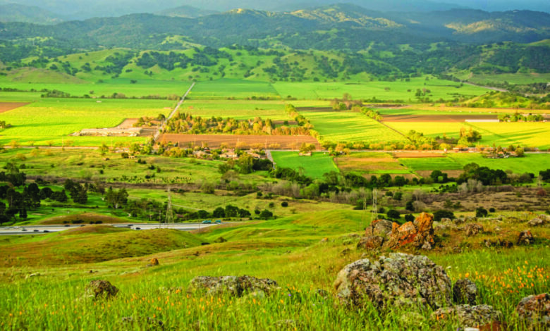 South San Jose utility project could threaten wildlife