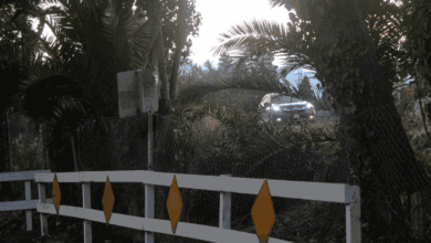 San Jose residents want sound walls to protect neighborhood