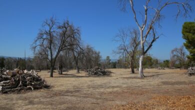 San Jose leaders prime old golf course for development