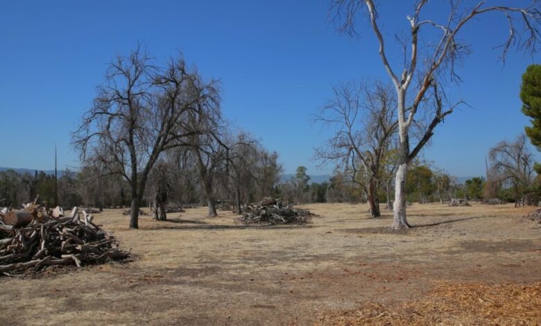 San Jose leaders prime old golf course for development San Jose leaders prime old golf course for development