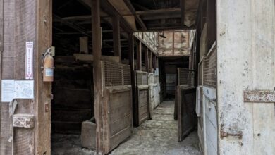 Los Gatos stables stay open amid millions in needed repairs