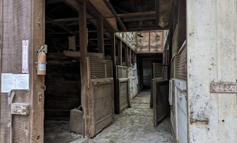 Los Gatos stables stay open amid millions in needed repairs Los Gatos stables stay open amid millions in needed repairs