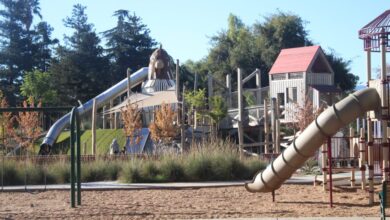 San Jose farm park advocates accuse city of retaliation