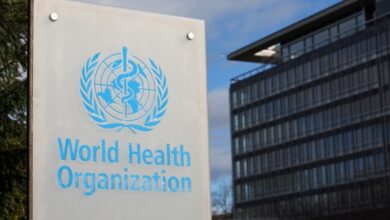 WHO: Việc liên lạc với giới chức Mỹ về cúm gia cầm H5N1 là một ‘thách thức’ 