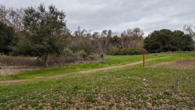 Cupertino app augments reality at nature preserve