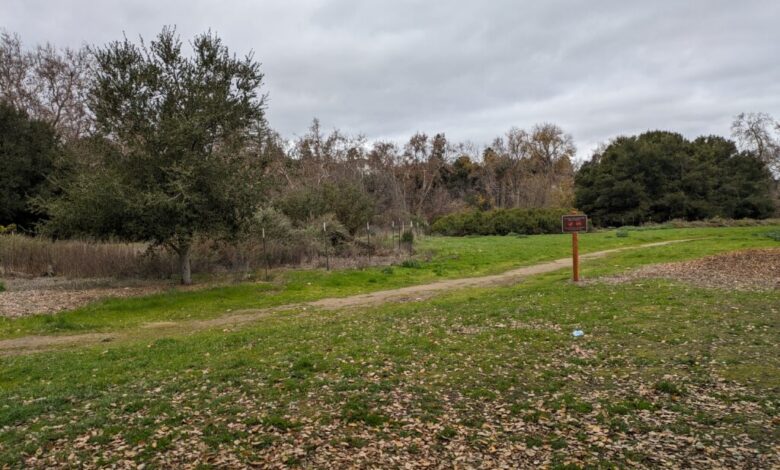 Cupertino app augments reality at nature preserve Cupertino app augments reality at nature preserve