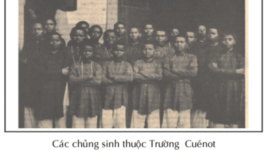 Bị cộng sản cưỡng đoạt cơ sở, Tòa Giám Mục Kontum kêu cứu