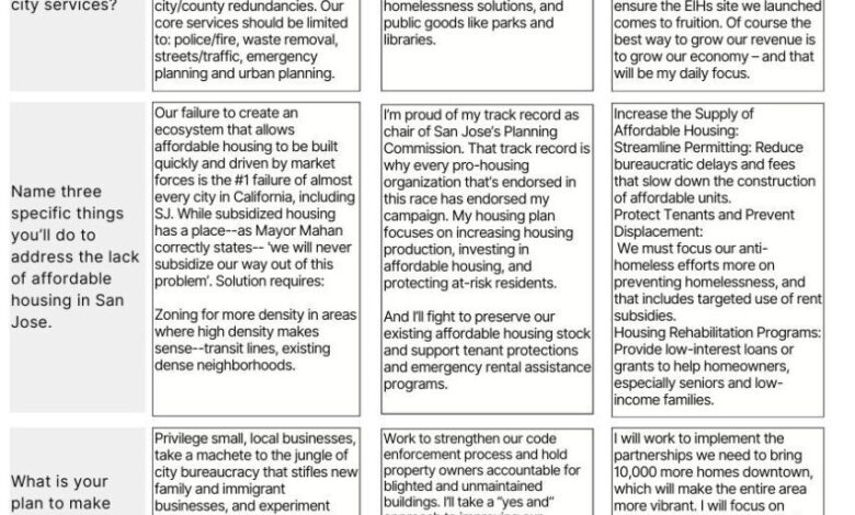 On the Record: San Jose’s District 3 special election On the Record: San Jose’s District 3 special election