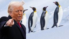 Đảo không người, chỉ có chim cánh cụt, bị ông Trump đánh thuế Đảo không người, chỉ có chim cánh cụt, bị ông Trump đánh thuế