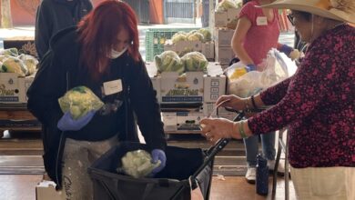 Cupertino residents pick backyard fruit for people in need