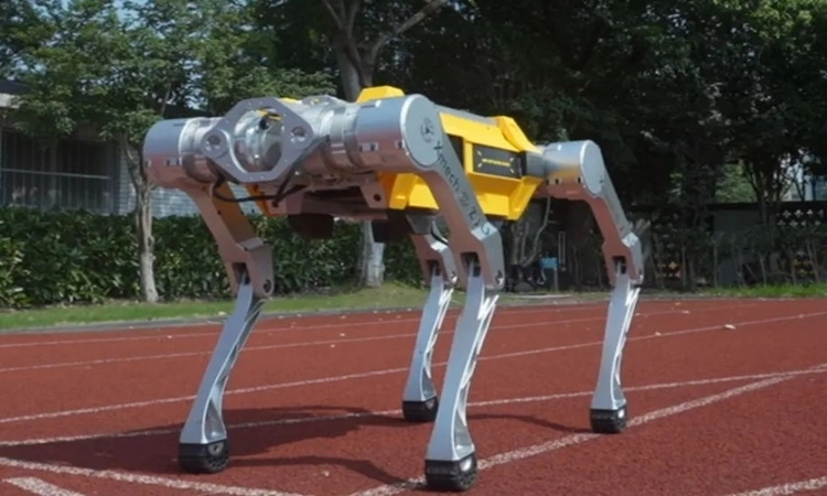 Robot chó Trung Quốc lập kỷ lục Guiness chạy 100 m Robot chó Trung Quốc lập kỷ lục Guiness chạy 100 m