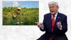 Nông dân Hưng Yên mất đất vì dự án golf của công ty gia đình Trump Nông dân Hưng Yên mất đất vì dự án golf của công ty gia đình Trump