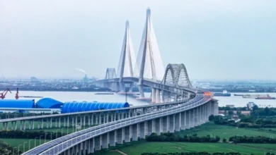 Trung Quốc khánh thành cầu dây văng dài nhất thế giới