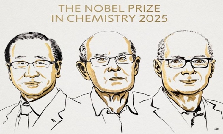Nghiên cứu khung kim loại – hữu cơ đoạt giải Nobel Hóa học 2025 Nghiên cứu khung kim loại – hữu cơ đoạt giải Nobel Hóa học 2025