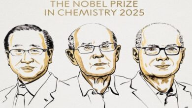 Nghiên cứu cấu trúc phân tử mới đoạt giải Nobel Hóa học 2025