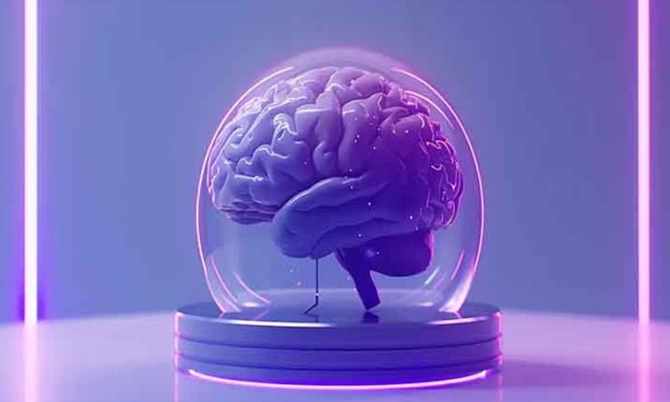 Phòng thí nghiệm nuôi não mini để vận hành máy tính Phòng thí nghiệm nuôi não mini để vận hành máy tính