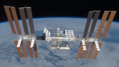 ‘Nấm mồ’ nước chôn trạm ISS năm 2030