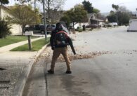 San Jose climate goals pivot from leaf blowers San Jose climate goals pivot from leaf blowers